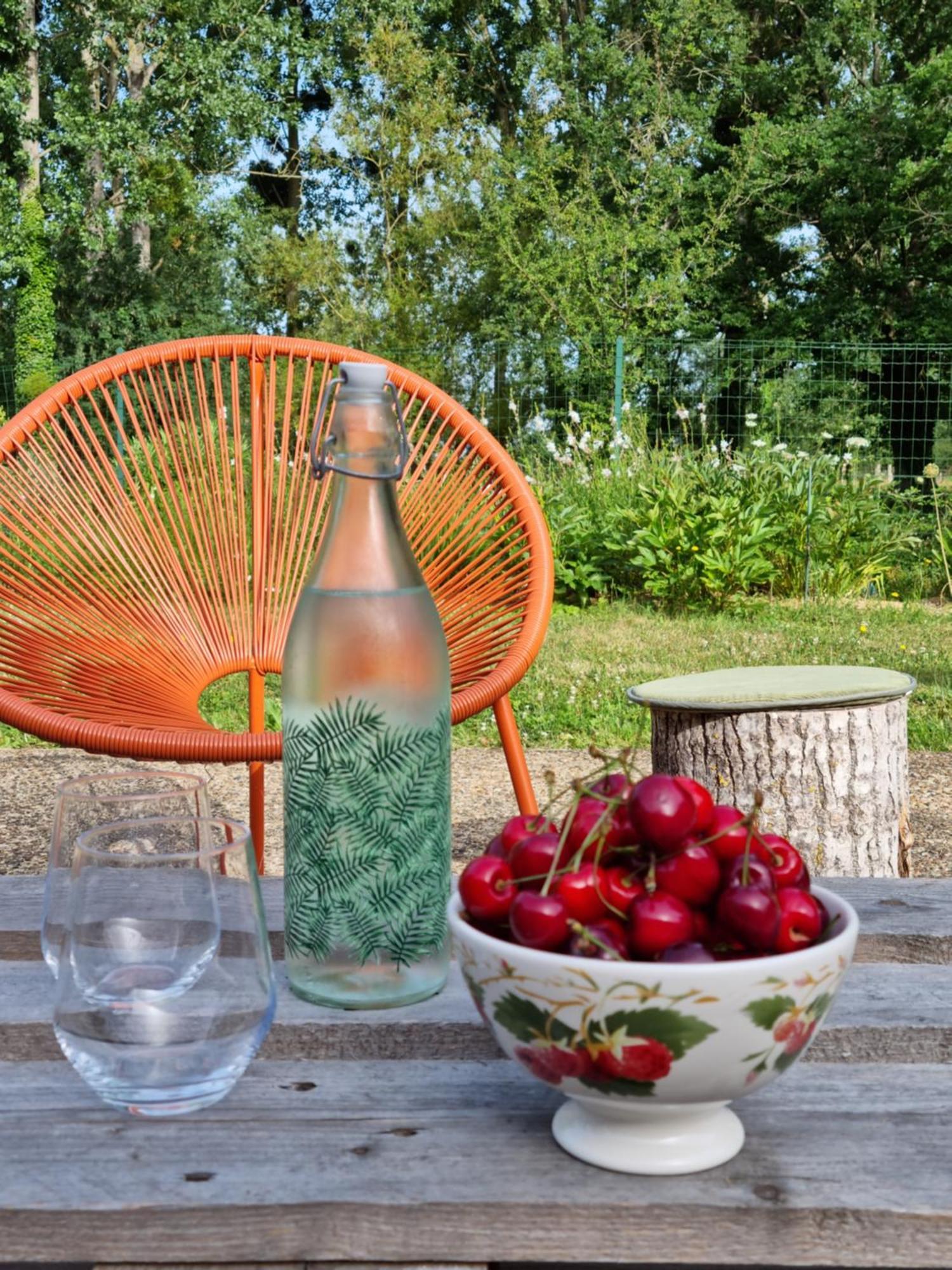 L 'Aupinouse Chambre Double Pivoine Avec Salle D'Eau Privative La Suze-sur-Sarthe 외부 사진